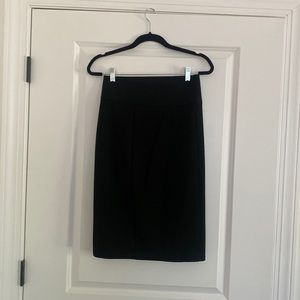 Express Pencil Skirt